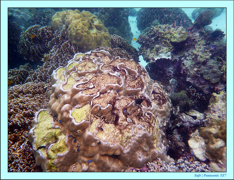 2011 - 07 - Koh Lipe 24